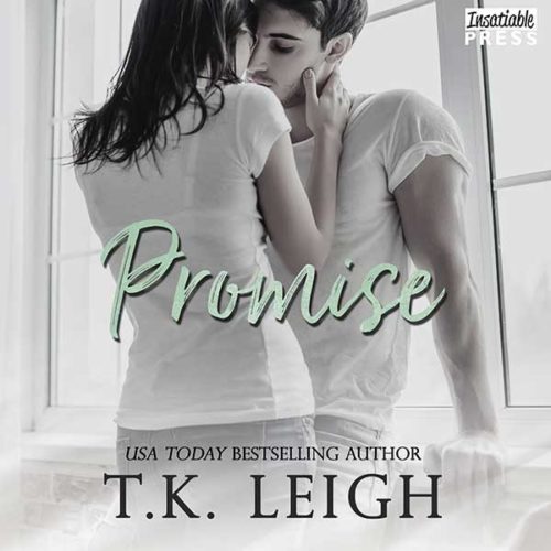 Promise audiobook